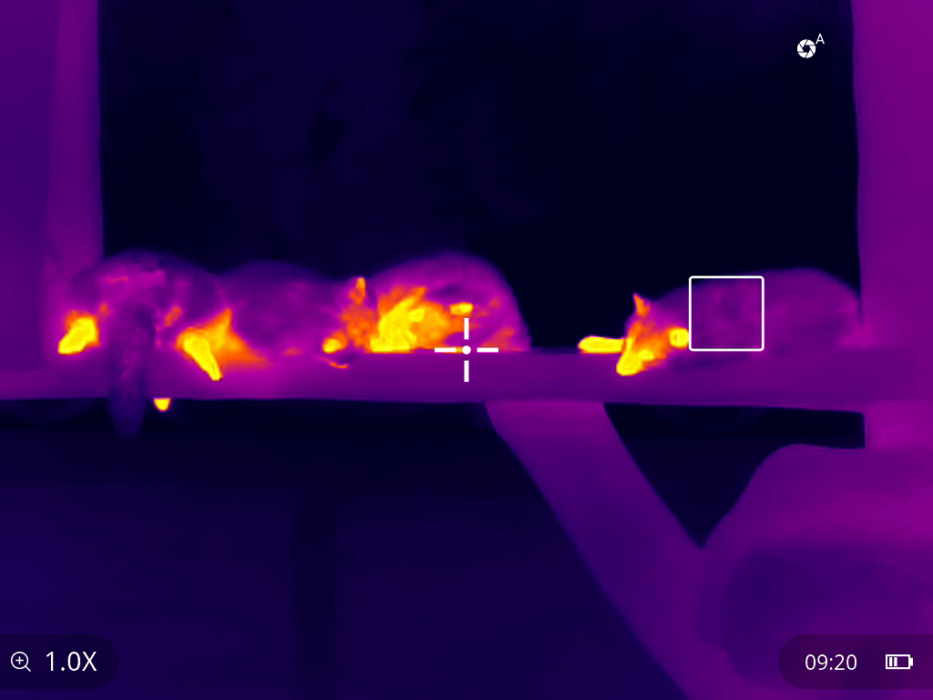 UTx318MR Medium-Range Thermal Monocular with Laser Range